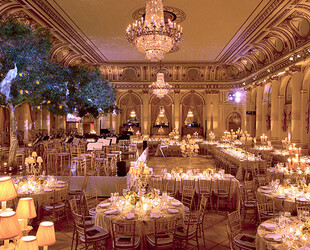 THE PLAZA HOTEL